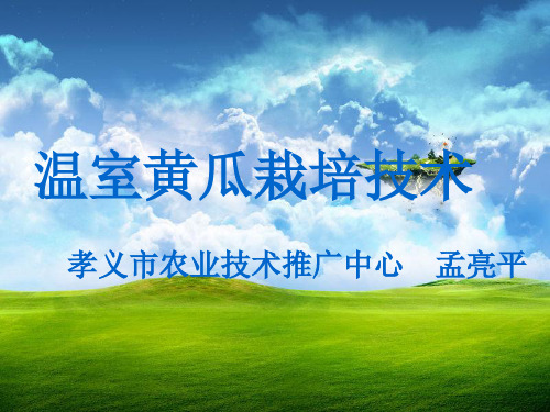 黄瓜讲课