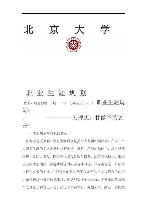 北京大学职业生涯规划书