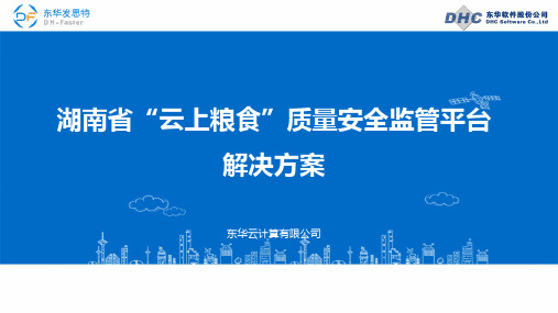 湖南省“云上粮食”质量安全监管平台解决方案V1.0.0