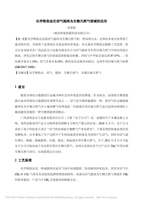 化学吸收法在沼气提纯为生物天然气领域的应用_宋碧波