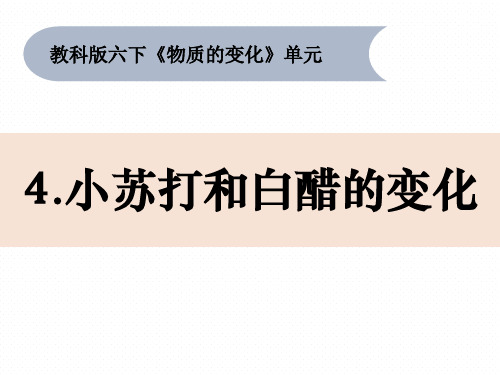 教科版小学科学六年级下册2-4《小苏打和白醋的变化》教学课件