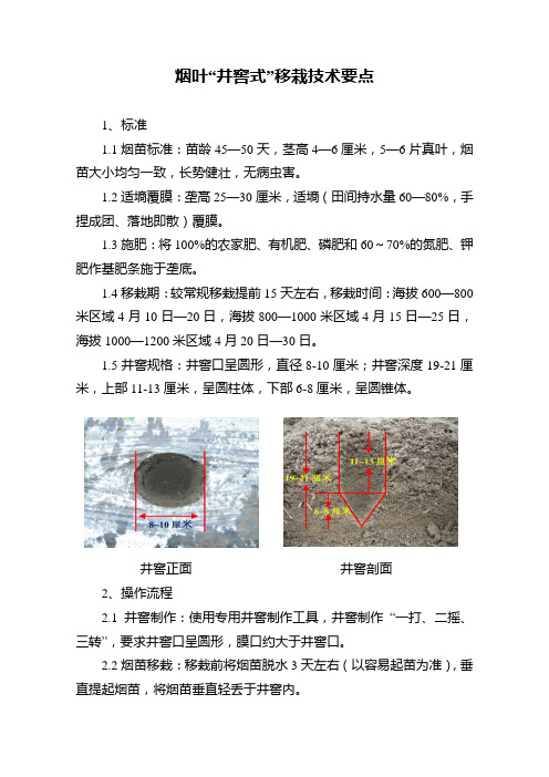 恩施州烟叶“井窖式”小苗移栽技术要点