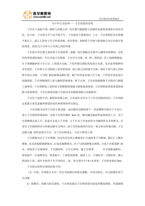 妇产科主治医师考试——子宫的组织结构