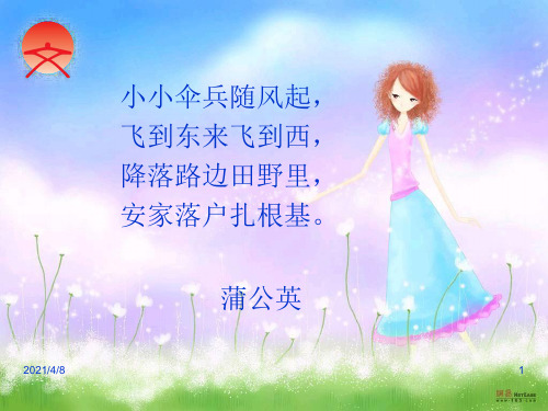 学写一种植物1PPT课件