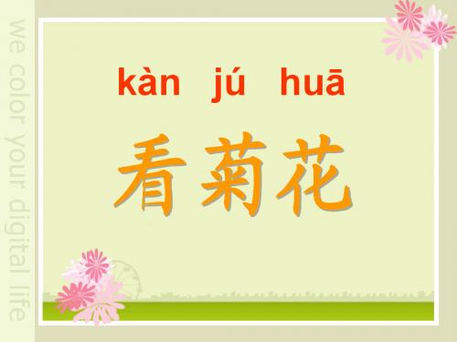 苏教版小学一年级上册看菊花课件