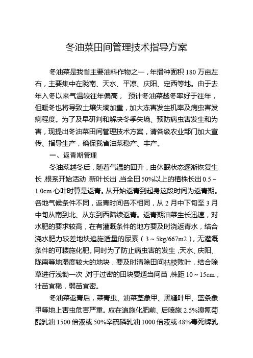 冬油菜田间管理技术指导方案