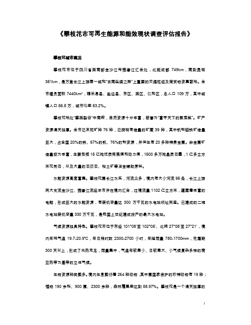 《攀枝花市可再生能源和能效现状调查评估报告》
