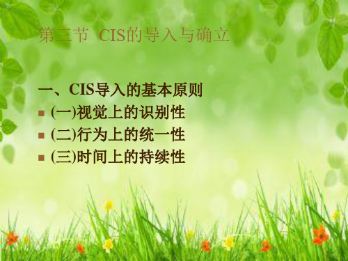 第三章  CIS战略