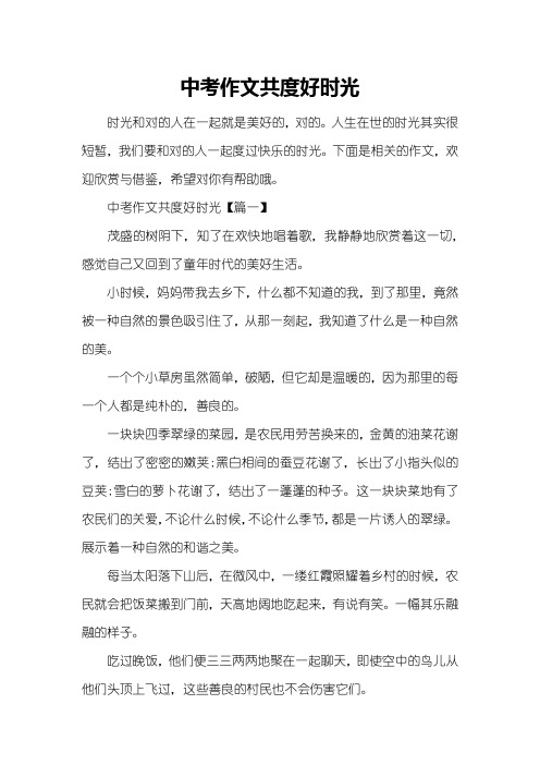 中考作文共度好时光