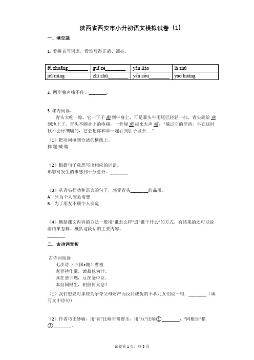陕西省西安市小升初语文模拟试卷(1)