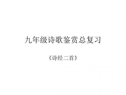 九年级诗歌鉴赏总复习