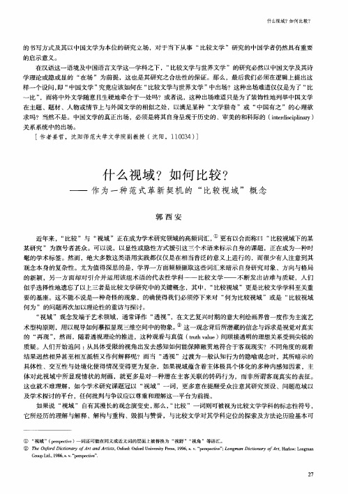 什么视域？如何比较？——作为一种范式革新契机的“比较视域”概念