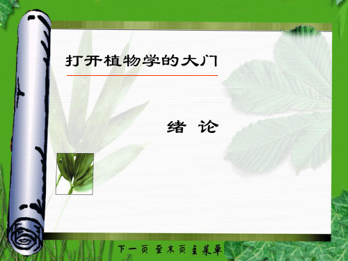 植物学奥赛课件——绪论