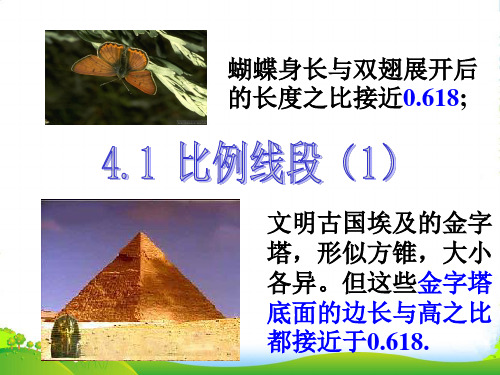 浙教版九年级数学上册《比例线段(1)》课件 (2)