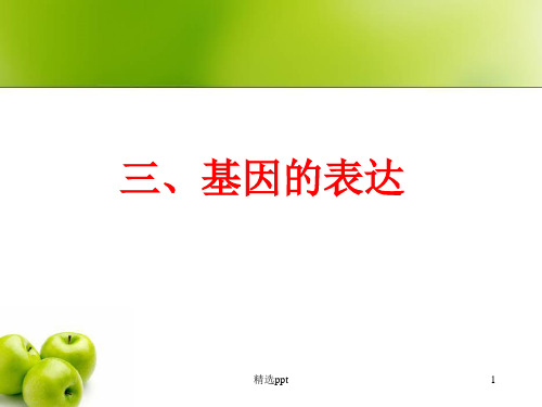 《基因的表达讲》PPT课件
