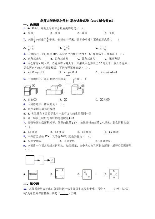 北师大版数学小升初 期末试卷试卷（word版含答案）
