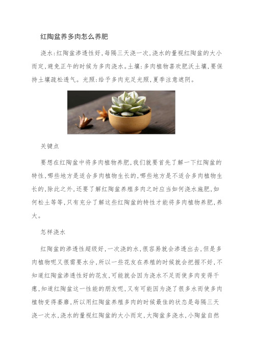 红陶盆养多肉怎么养肥
