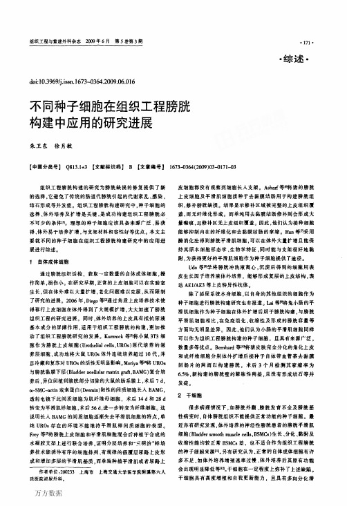 不同种子细胞在组织工程膀胱构建中应用的研究进展