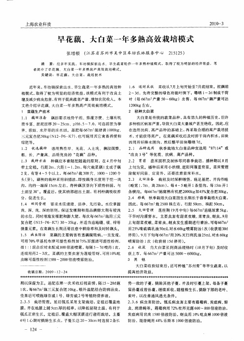 早花藕、大白菜一年多熟高效栽培模式