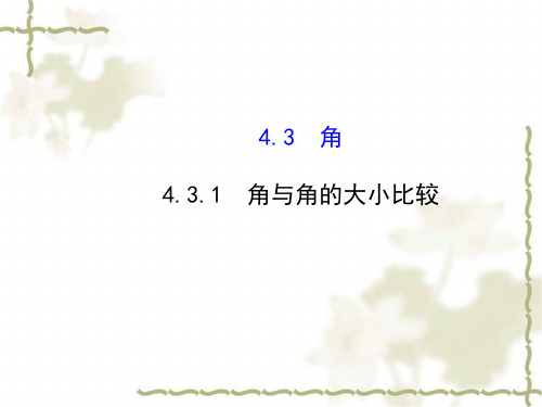 七年级数学上册第4章图形的认识4.3角4.3.1角与角的大小比较新版湘教版
