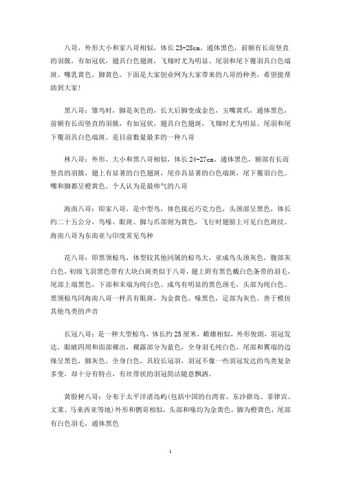 八哥的种类(最新)
