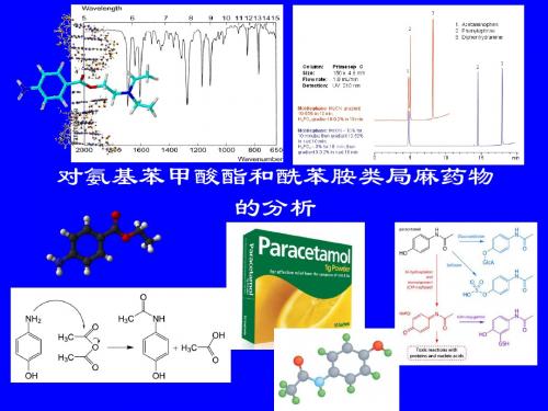 南医大药物分析第08章 对氨基苯甲酸酯类药物的分析