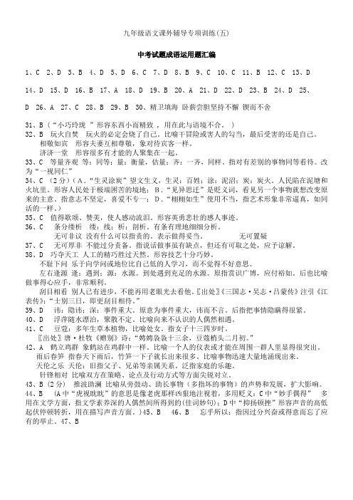 九年级语文课外辅导专项训练五答案