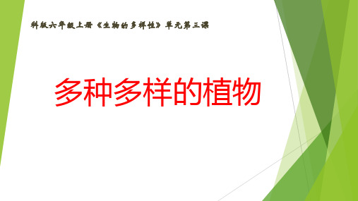 教科版小学科学《多种多样的植物》基础课课件教学课件