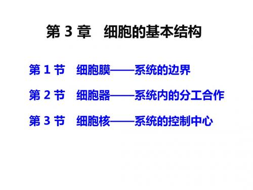 人教版高中生物优秀课件必修一：第三章 细胞的基本结构 课件(共22张PPT)