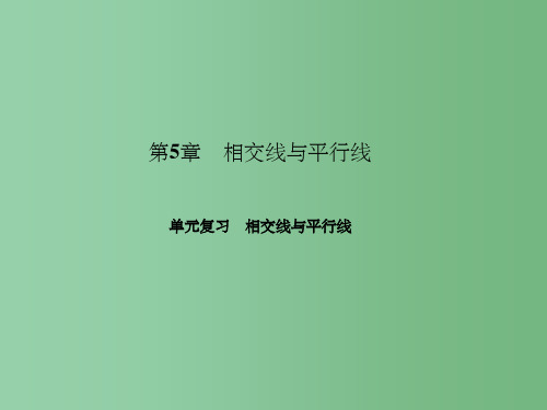 七年级数学上册 5 相交线与平行线单元复习 相交线与平行线课件 (新版)华东师大版