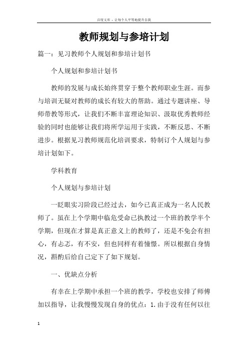 教师规划与参培计划doc