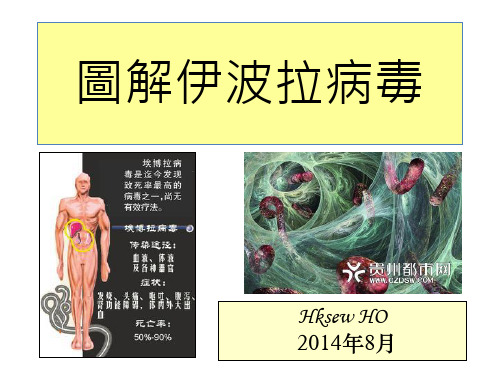 图解伊波拉病毒