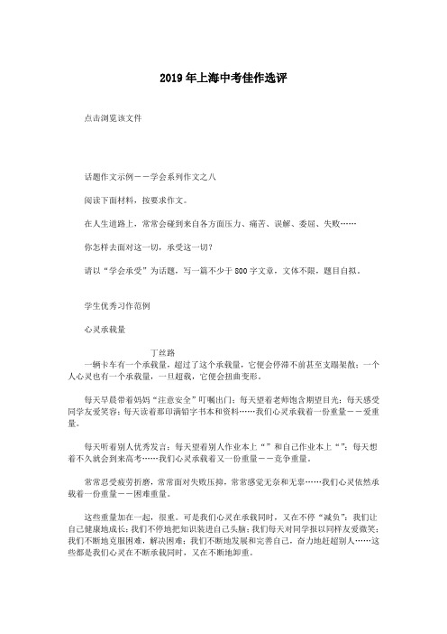 2019年上海中考佳作选评.doc