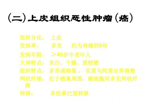 病理解剖学 肿瘤五