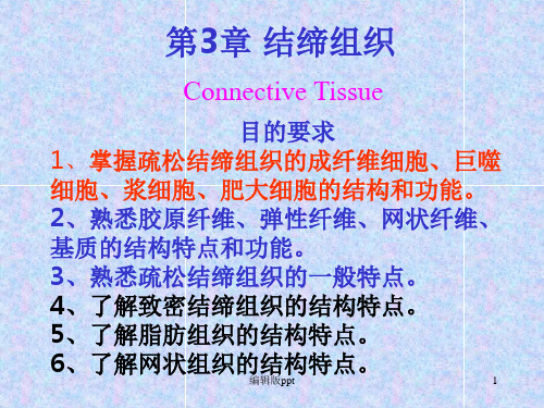 结缔组织ppt课件