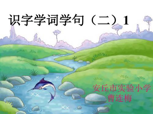 识字学词学句二P