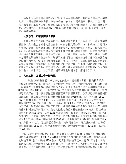 领导个人述职述廉报告ppt模板