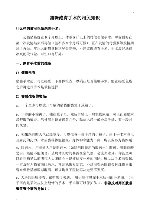 小猫绝育手术必读