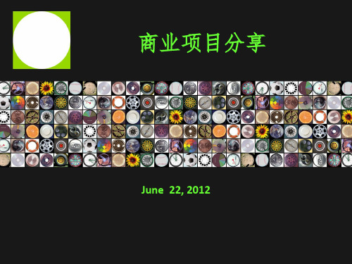 商业项目案例分享ppt课件