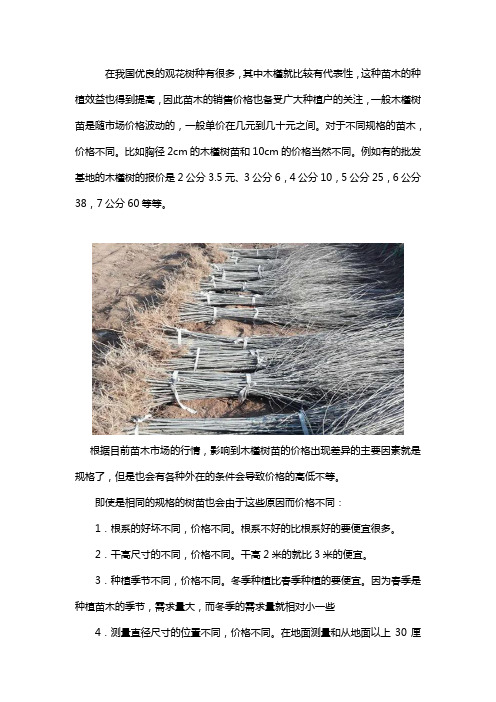木槿树多少钱一棵