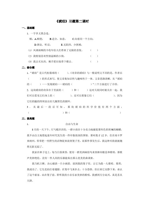 语文北师版六年级下册 《琥珀》习题——第二课时