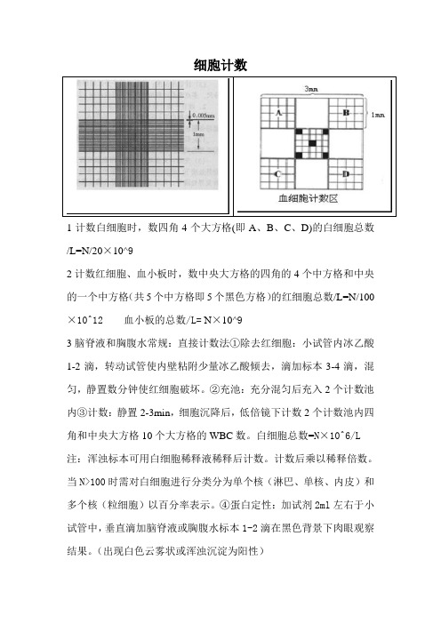 红白细胞、血小板计数和脑脊液、胸腹水常规检查方法