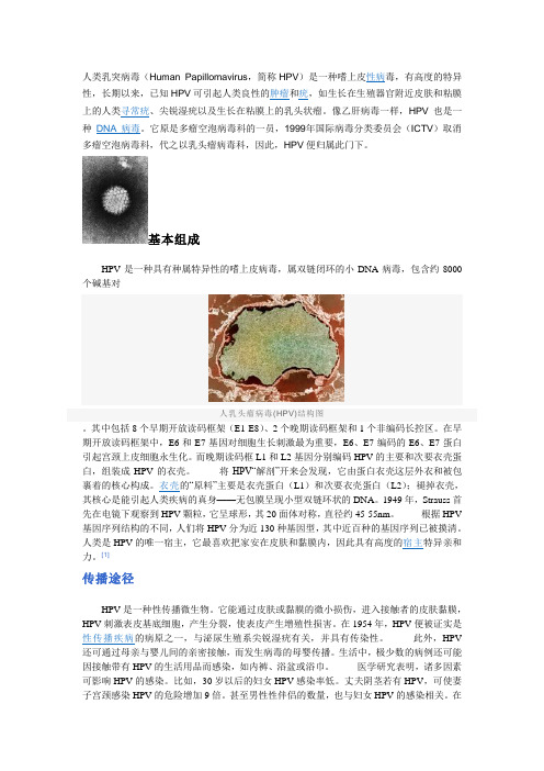 HPV简介