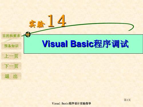 VB实验14 Visual Basic程序调试