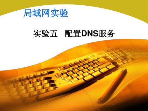 配置DNS服务器