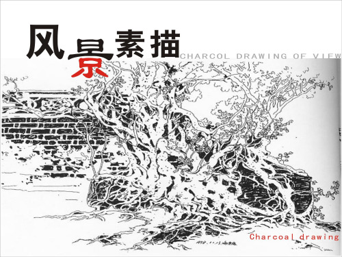 素描风景