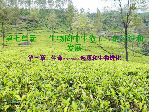 中考生物总复习第七单元第三章生命起源和生物进化