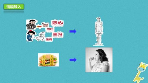 河北省七年级生物下册2.1.3营养物质的吸收和利用课件冀教版