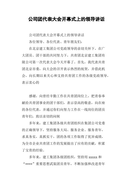 公司团代表大会开幕式上的领导讲话