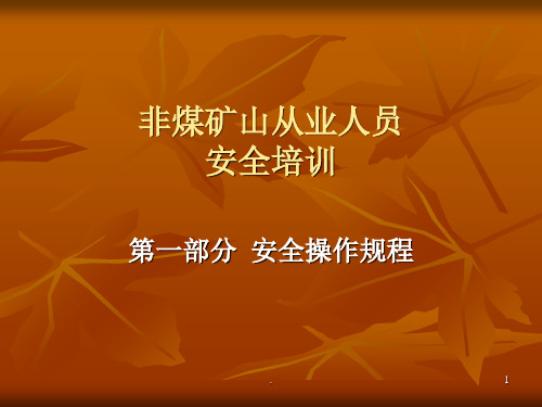 非煤矿山从业人员培训
